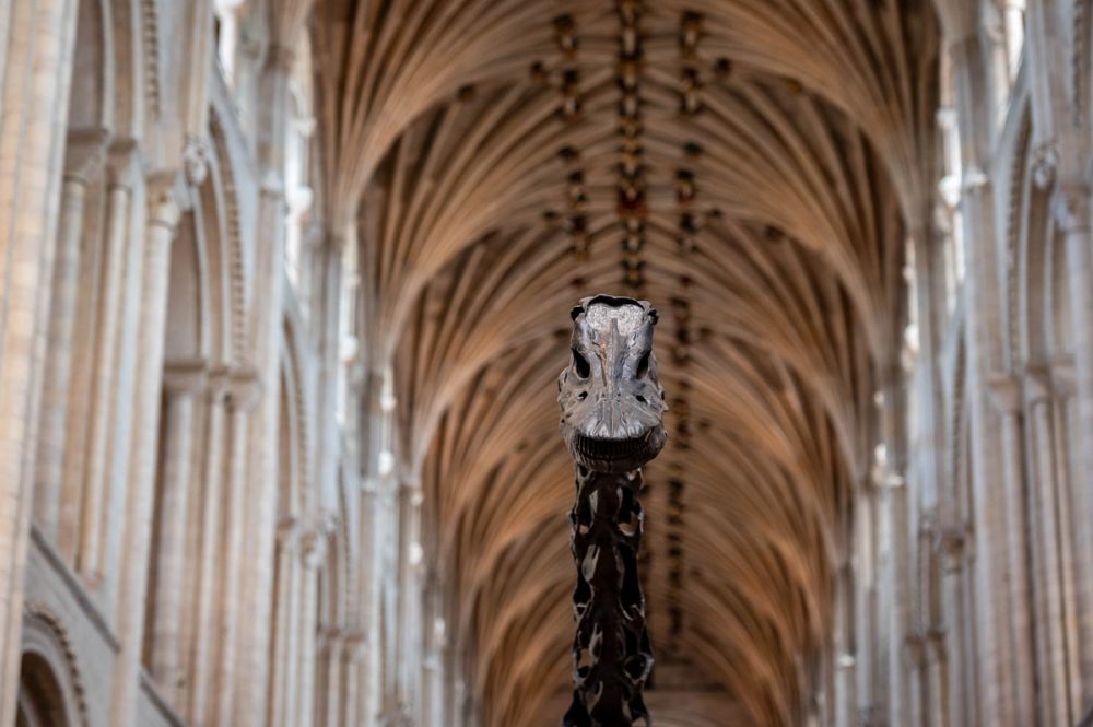 image-4036f8b730da690be93e7188fff6db0c8a7d72f8-5791x3853-jpg