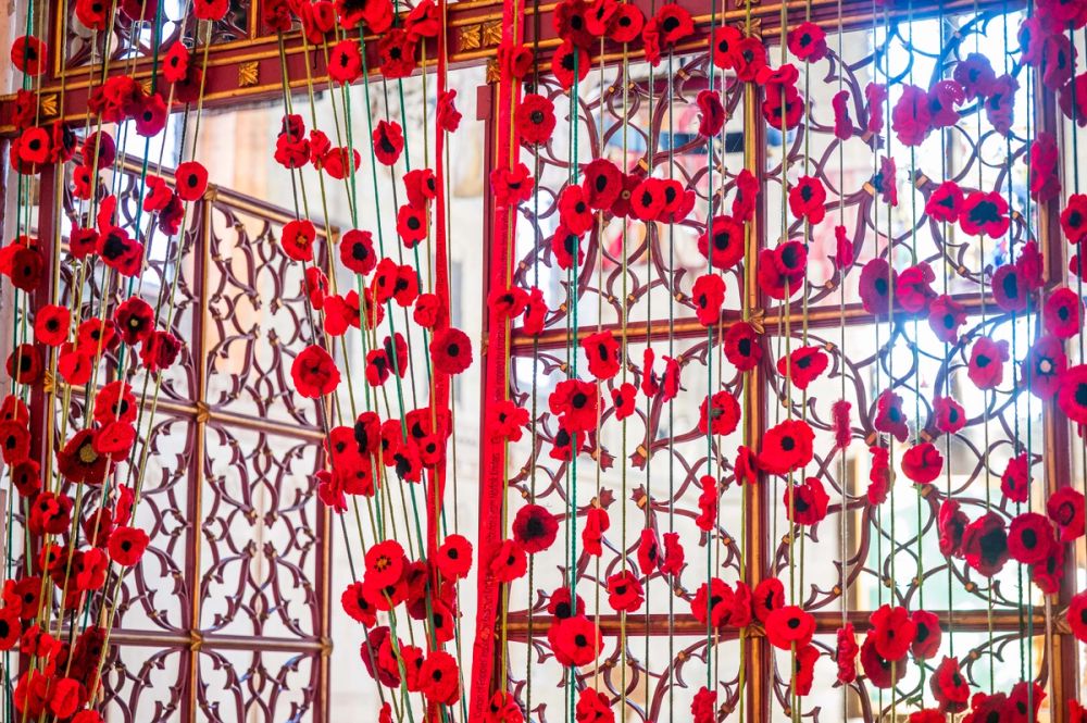 image-41e045cb20f324e08bb1c93b92218cb3dd69e5d5-5956x3963-jpg