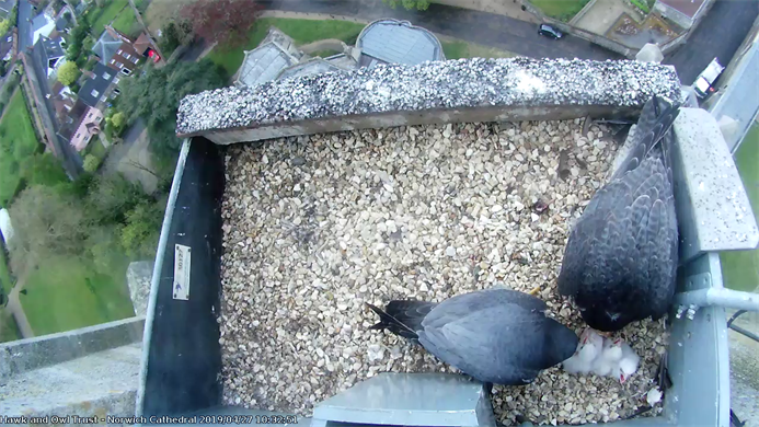 image-47005b6f9e58474c1ea7ceec16799baf0bac8e1f-693x390-png