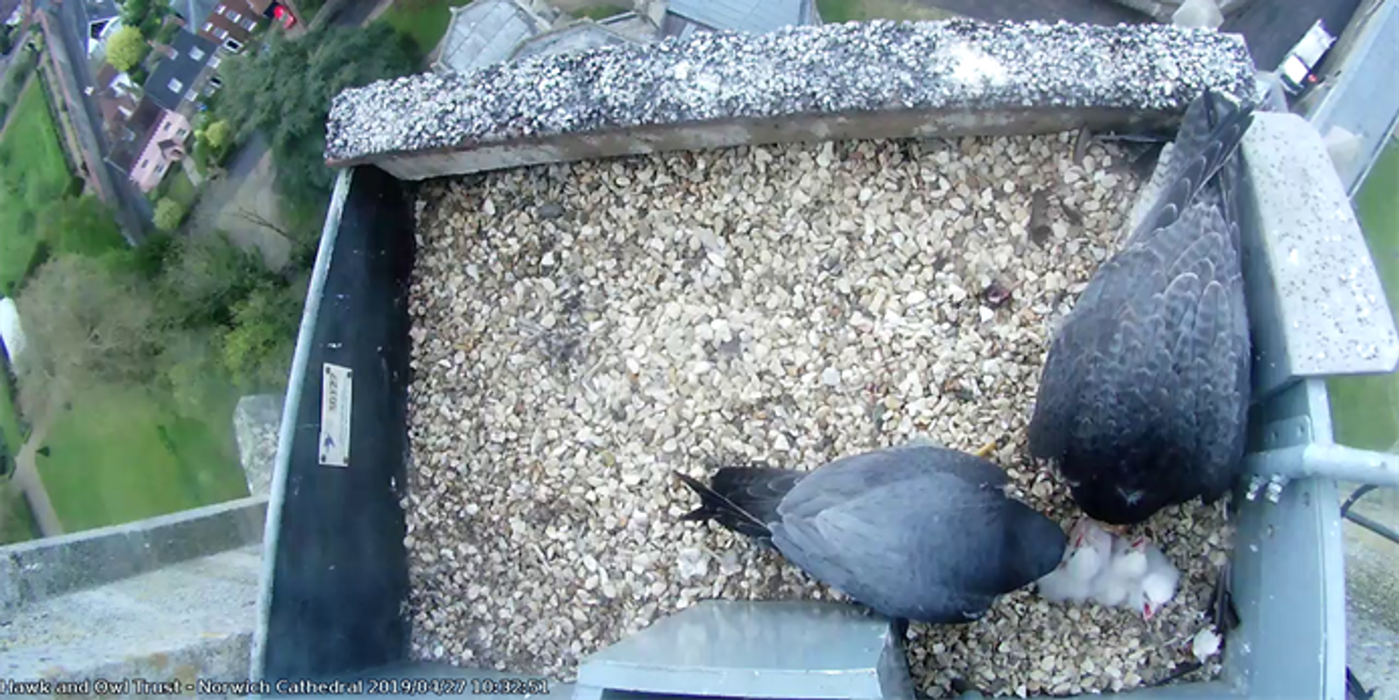 image-47005b6f9e58474c1ea7ceec16799baf0bac8e1f-693x390-png