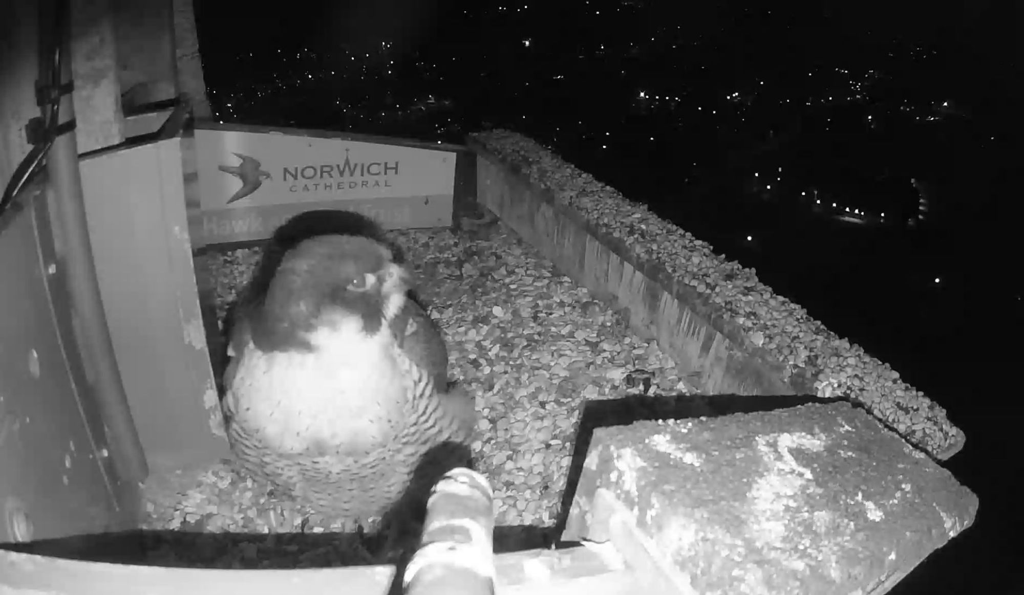 image-476ae7ebce68e6203ab290c60dd390f768cae628-1935x1125-jpg