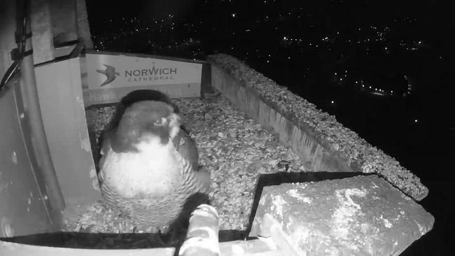 image-476ae7ebce68e6203ab290c60dd390f768cae628-1935x1125-jpg