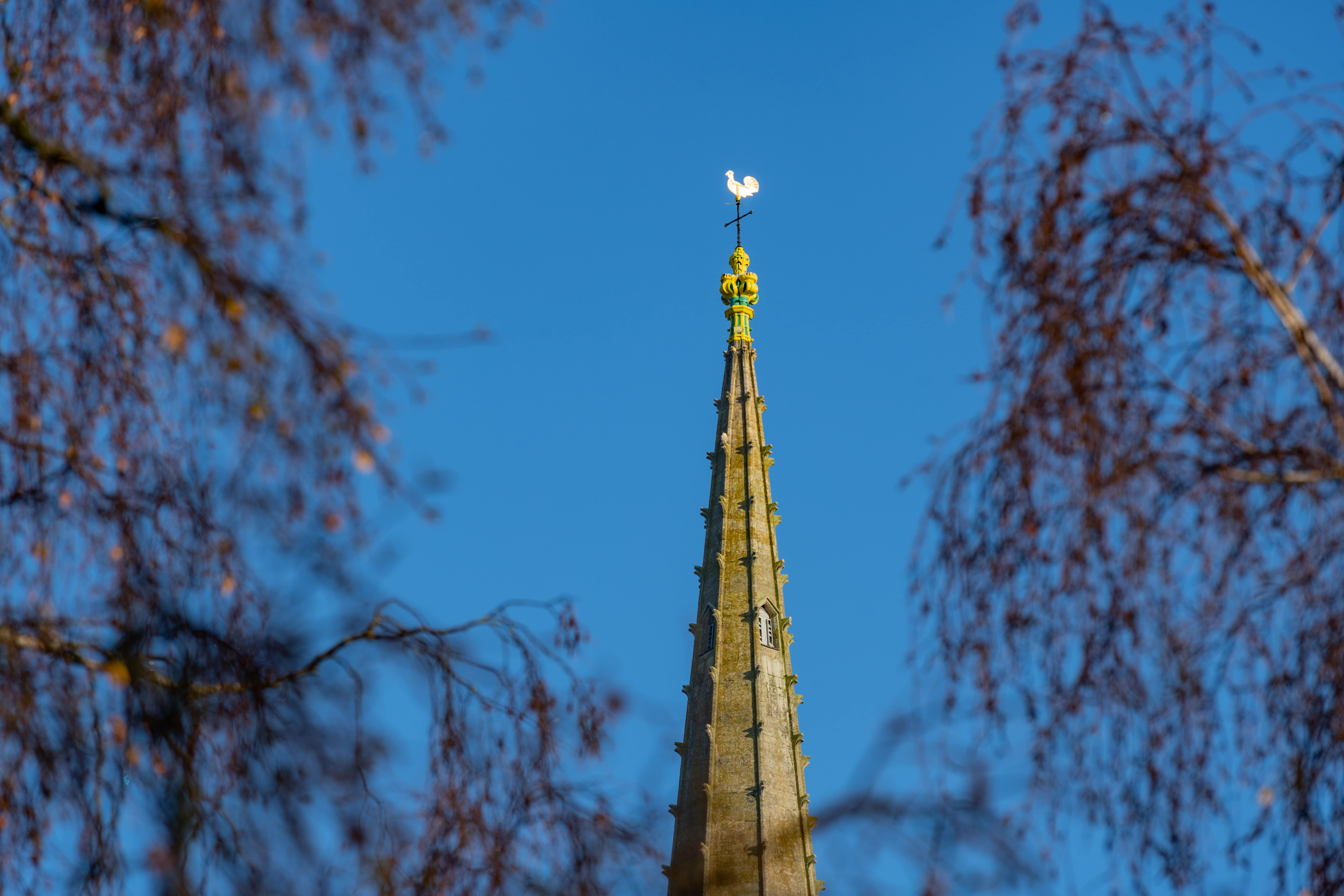 image-479c70859946d267d74c46baef3e02899a9b3ab1-8256x5504-jpg