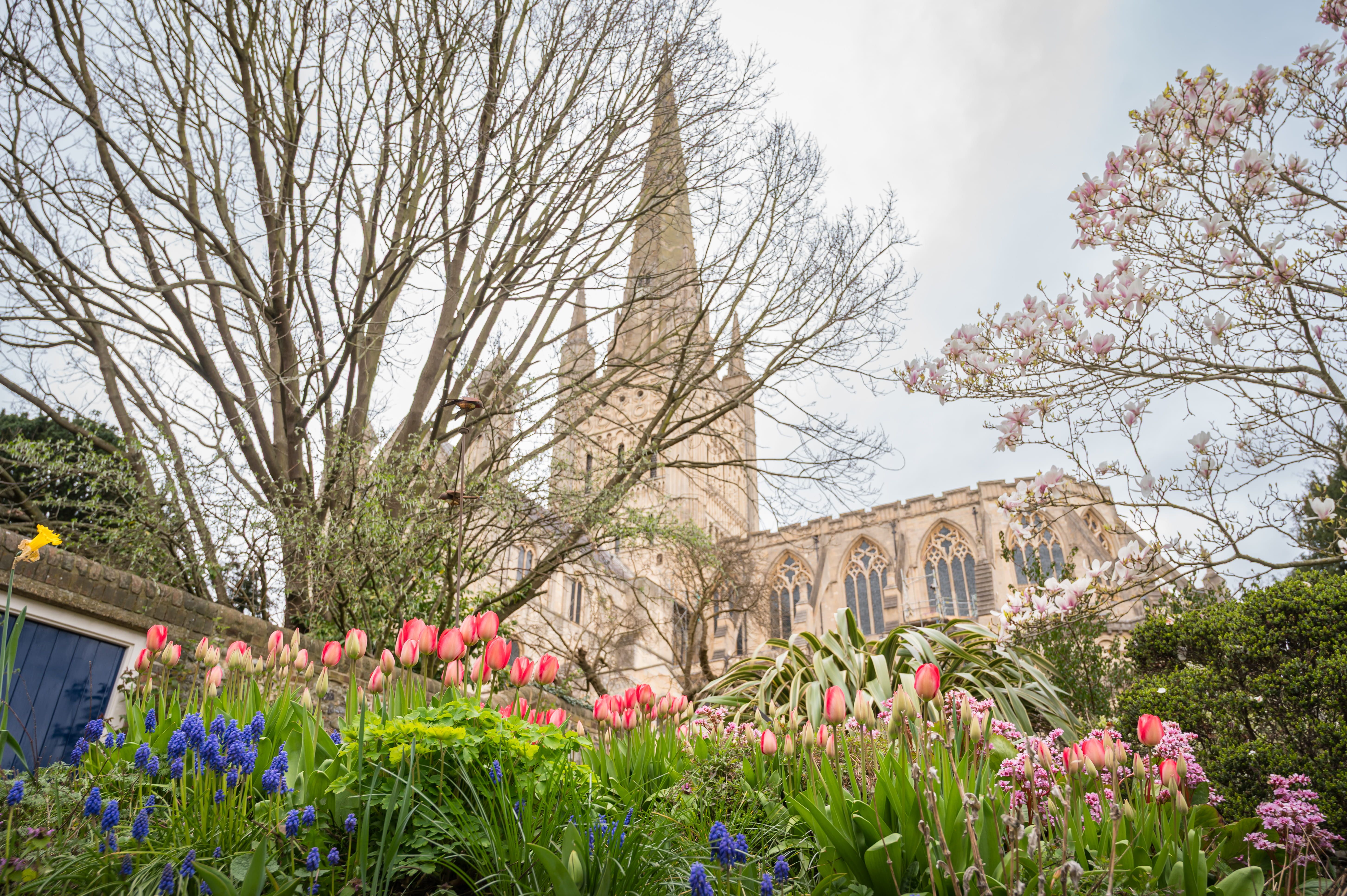 image-47de3216a7b63109f331ab40cfe407427e7cbe74-5809x3865-jpg