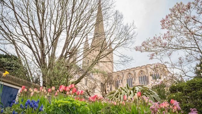 image-47de3216a7b63109f331ab40cfe407427e7cbe74-5809x3865-jpg