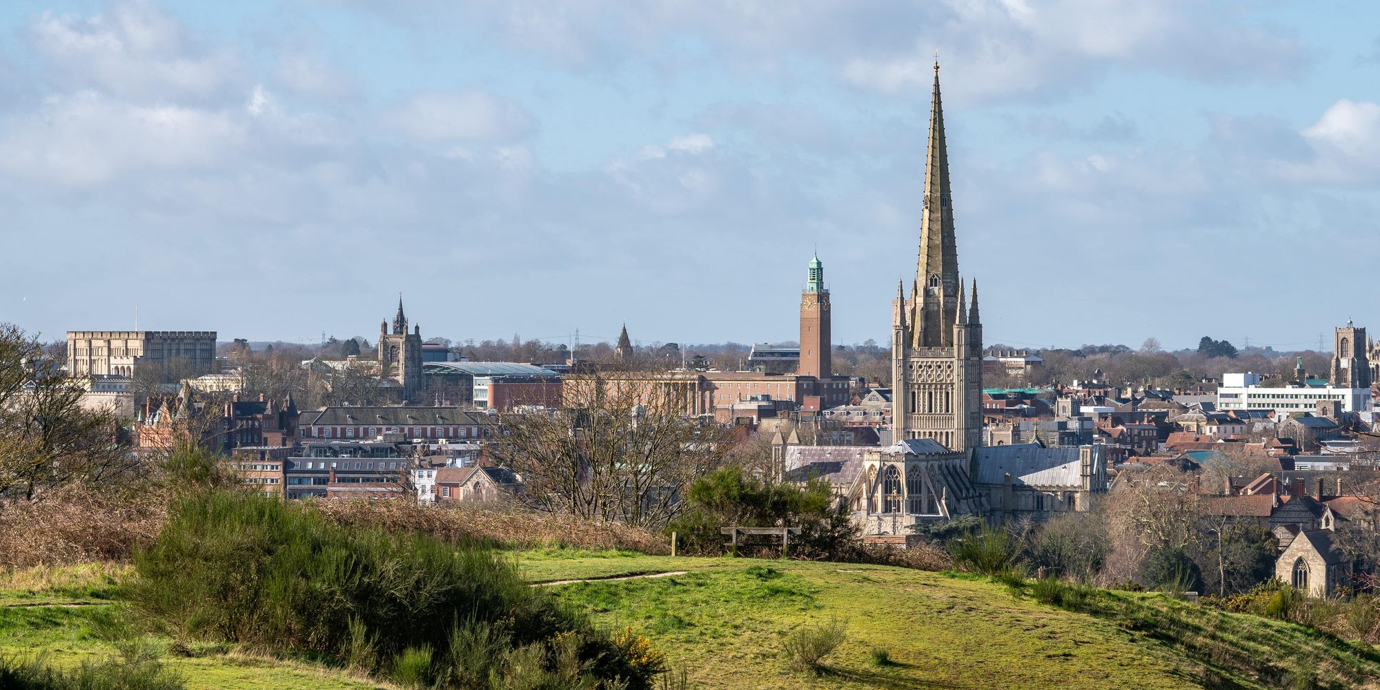 image-4d1340a1c028bf93f858060caee4d644692bfbf3-5367x8050-jpg