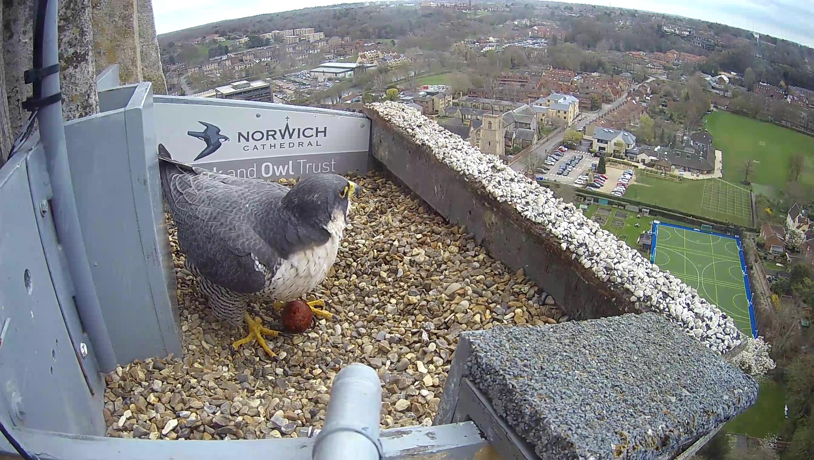 image-4e2b721e5ce90f6302a4aa4710c8ddcec8b7988d-2688x1520-jpg