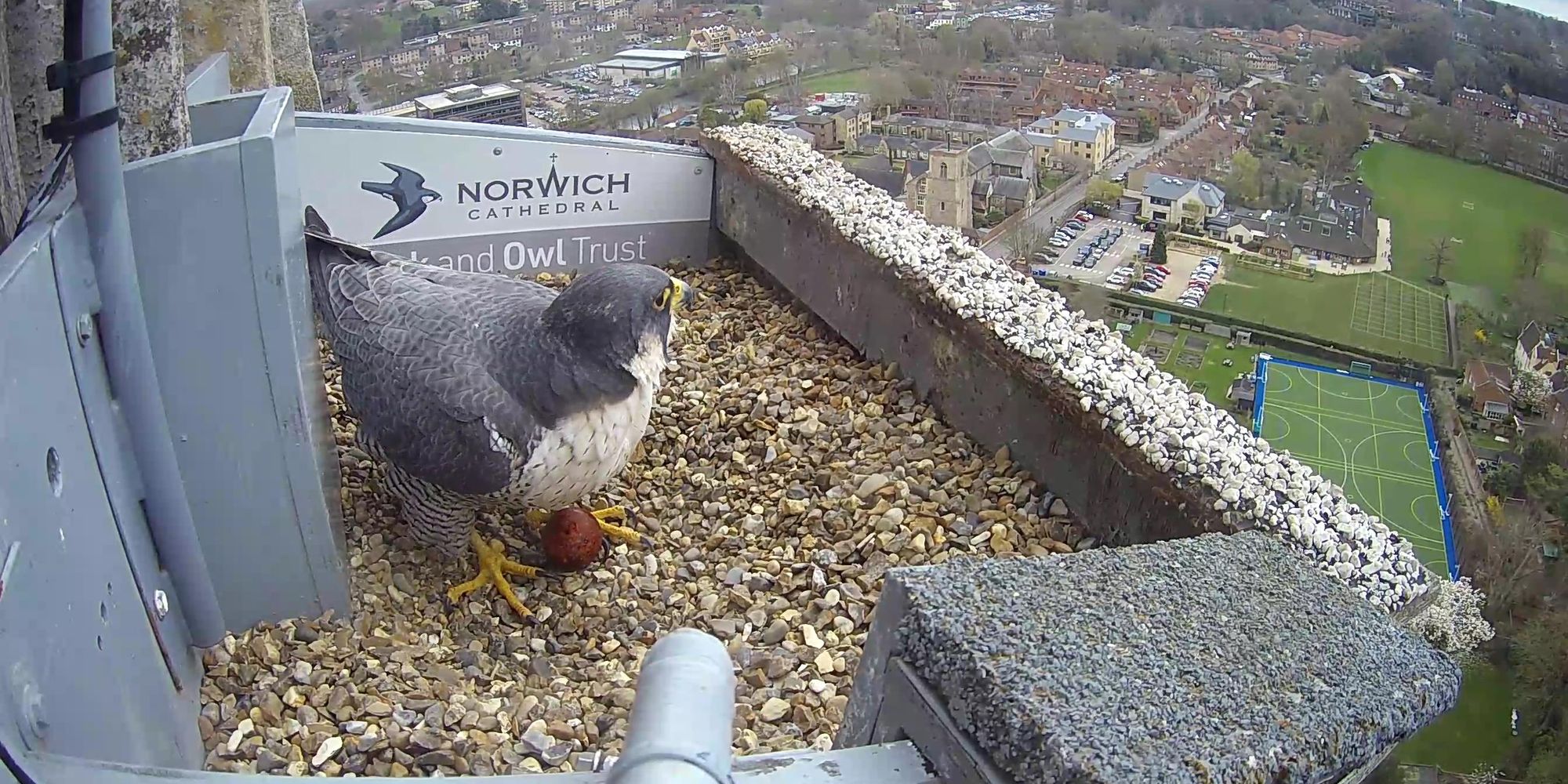 image-4e2b721e5ce90f6302a4aa4710c8ddcec8b7988d-2688x1520-jpg