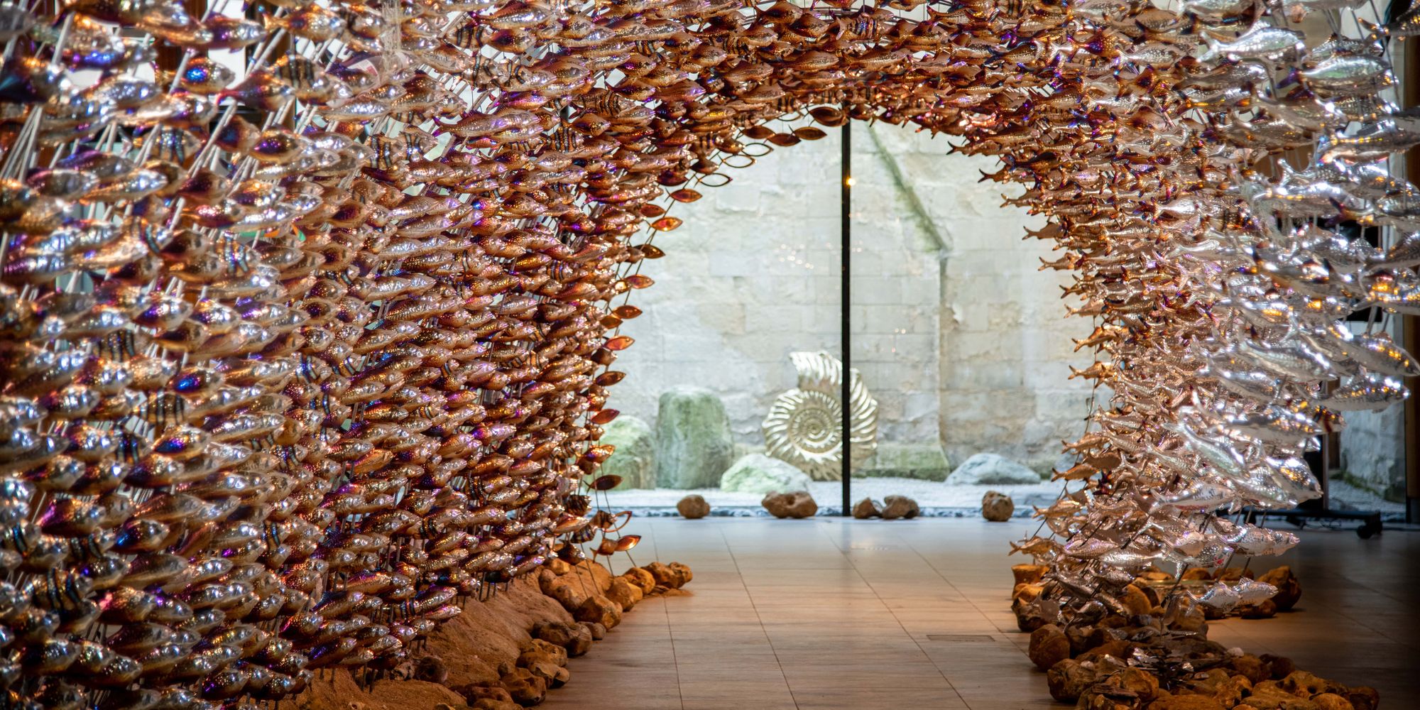 image-4fa51bf619e8bdbe5054e71ba039c41b931ddb95-8149x5433-jpg