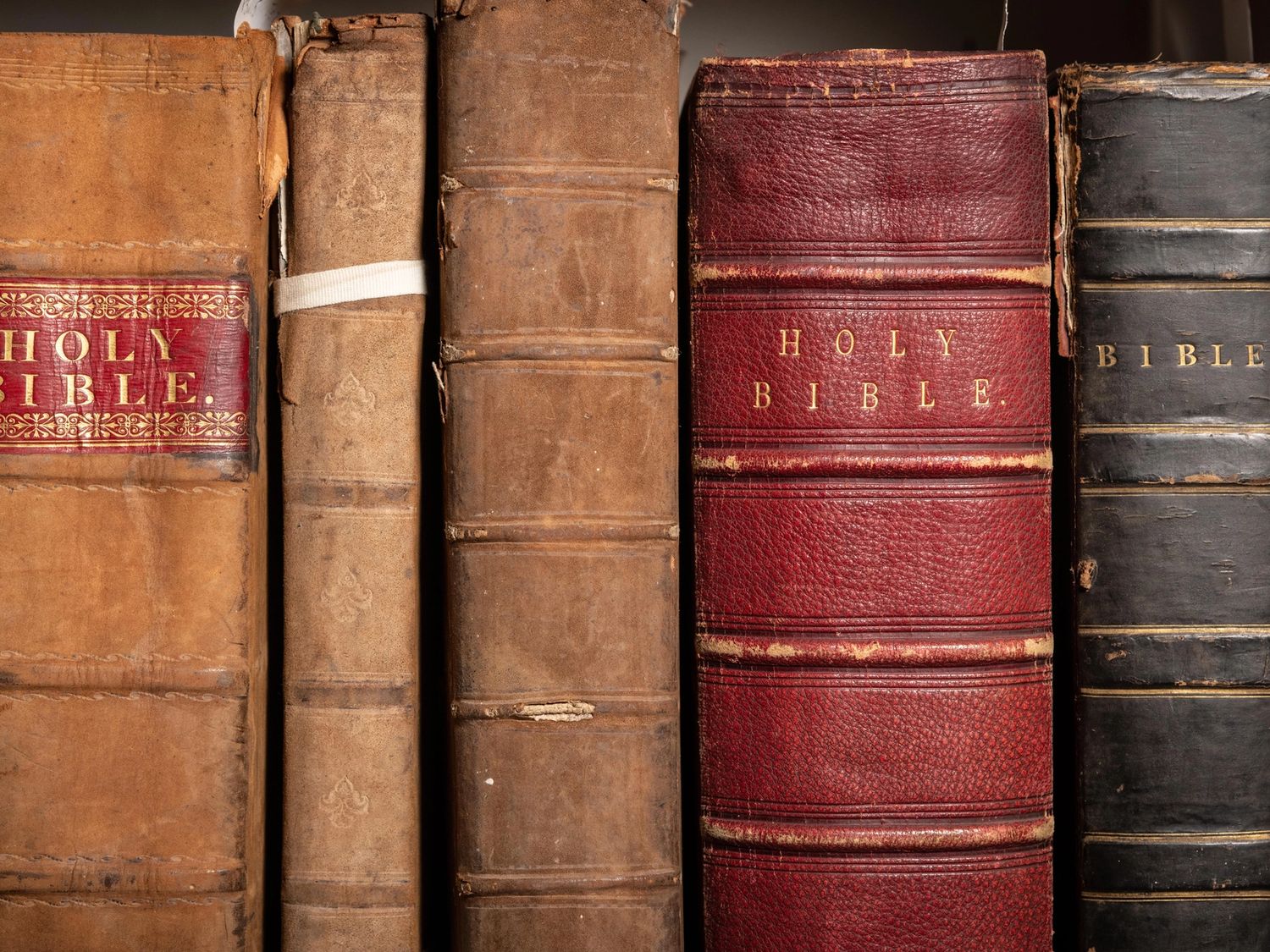 image-4fb17adeba999b3c1990fe8bf6897738aa7406ff-8035x5149-jpg