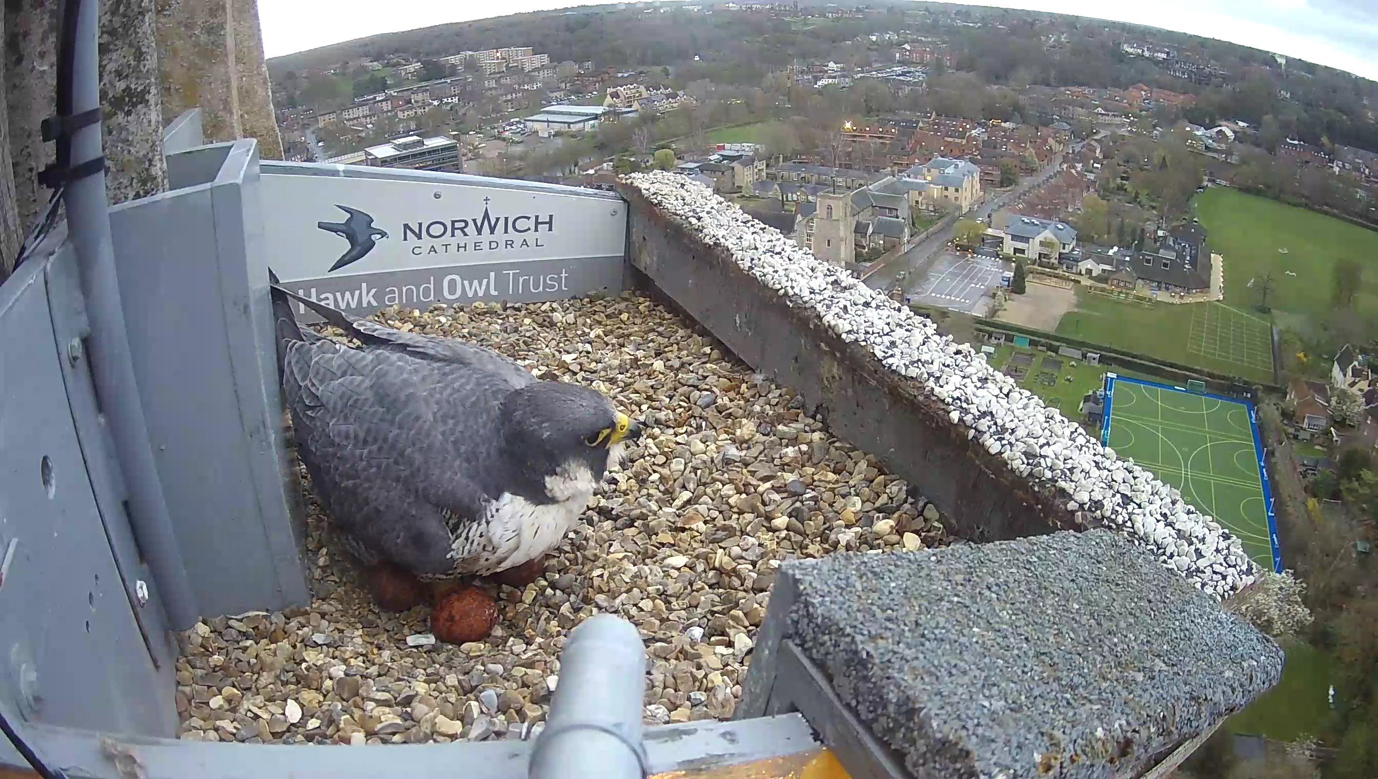 image-6165748252703c246de0ca378ecc122022596e06-2688x1520-jpg