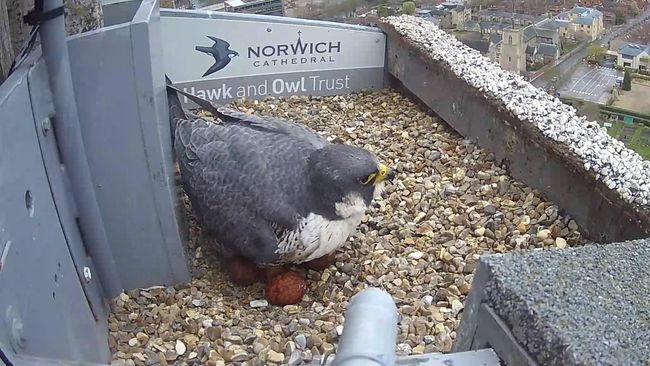 image-6165748252703c246de0ca378ecc122022596e06-2688x1520-jpg