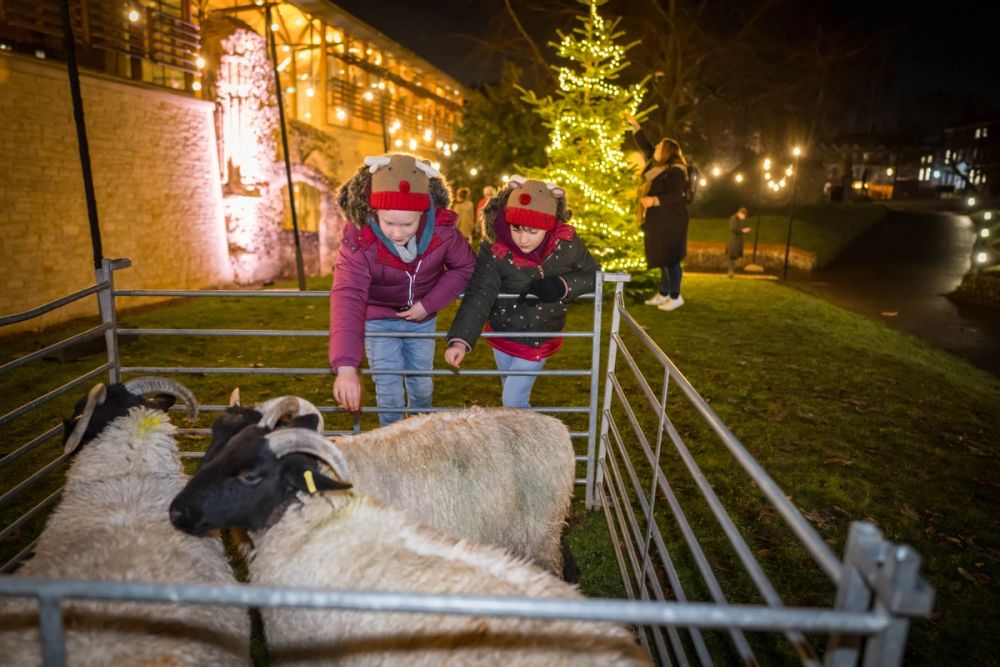 image-6bf57ac3477360908687c124a791fdbda0c1c8cd-7865x5243-jpg