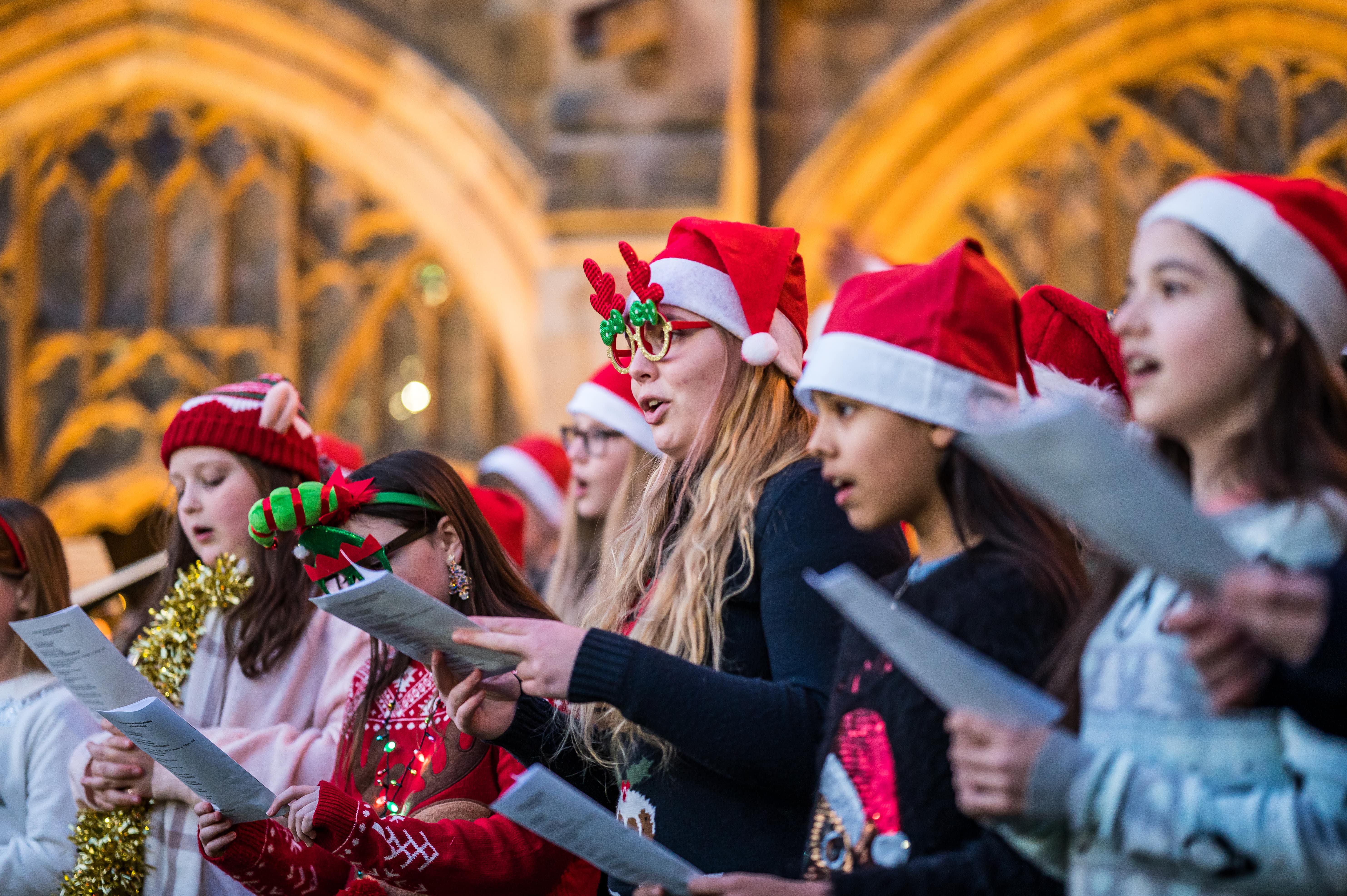 image-6cc935dcb89e66eca421683356c28e8e6fe34047-5929x3945-jpg