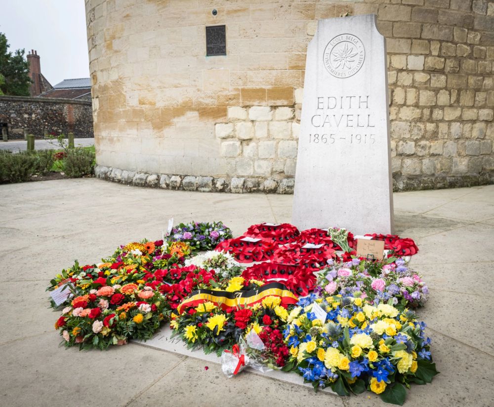 image-70e3badde89e42da5b3578270ffb2b330cff0126-6403x5282-jpg