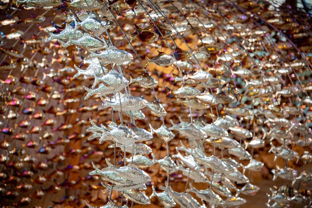 image-7109015770bde881a47795fb6f2af7e0d013d13f-8256x5504-jpg