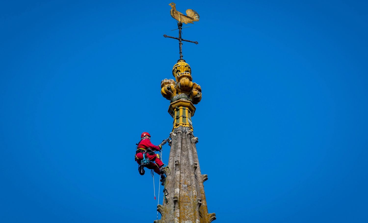 image-72eb52bc4071256e9ae4ab33dfdd22f34ef790d5-7765x5177-jpg