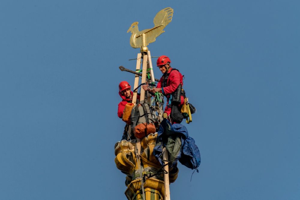 image-746ace480548a454b53bdd32f087956ba69775a7-7096x4731-jpg