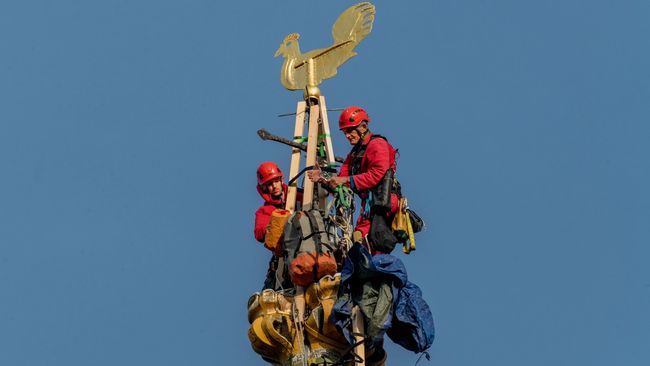 image-746ace480548a454b53bdd32f087956ba69775a7-7096x4731-jpg