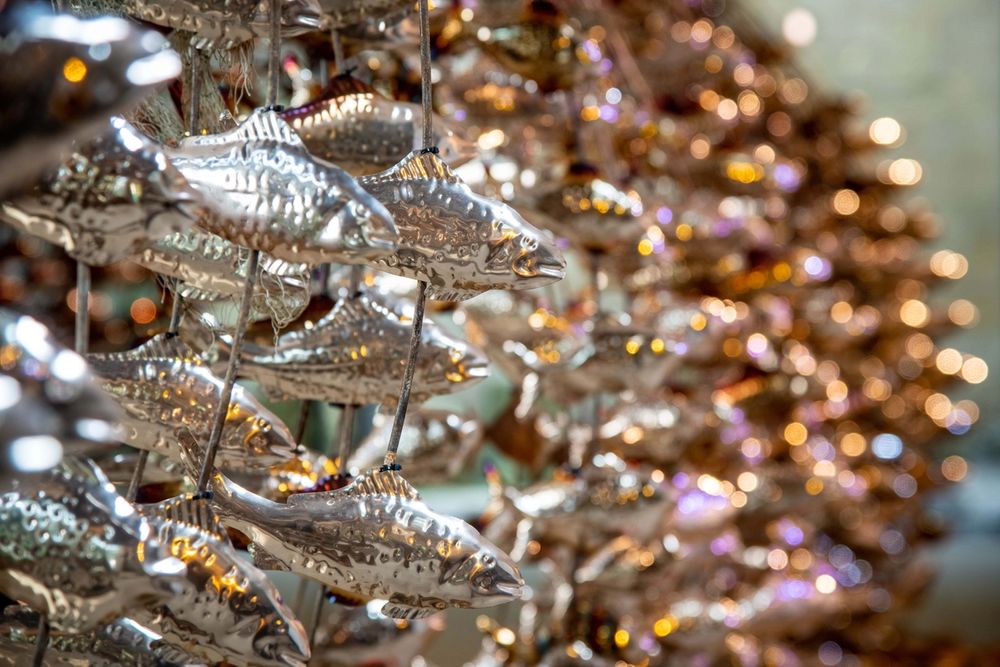 image-74c5d9035a5641216d829f948897076e3e30c222-7866x5244-jpg