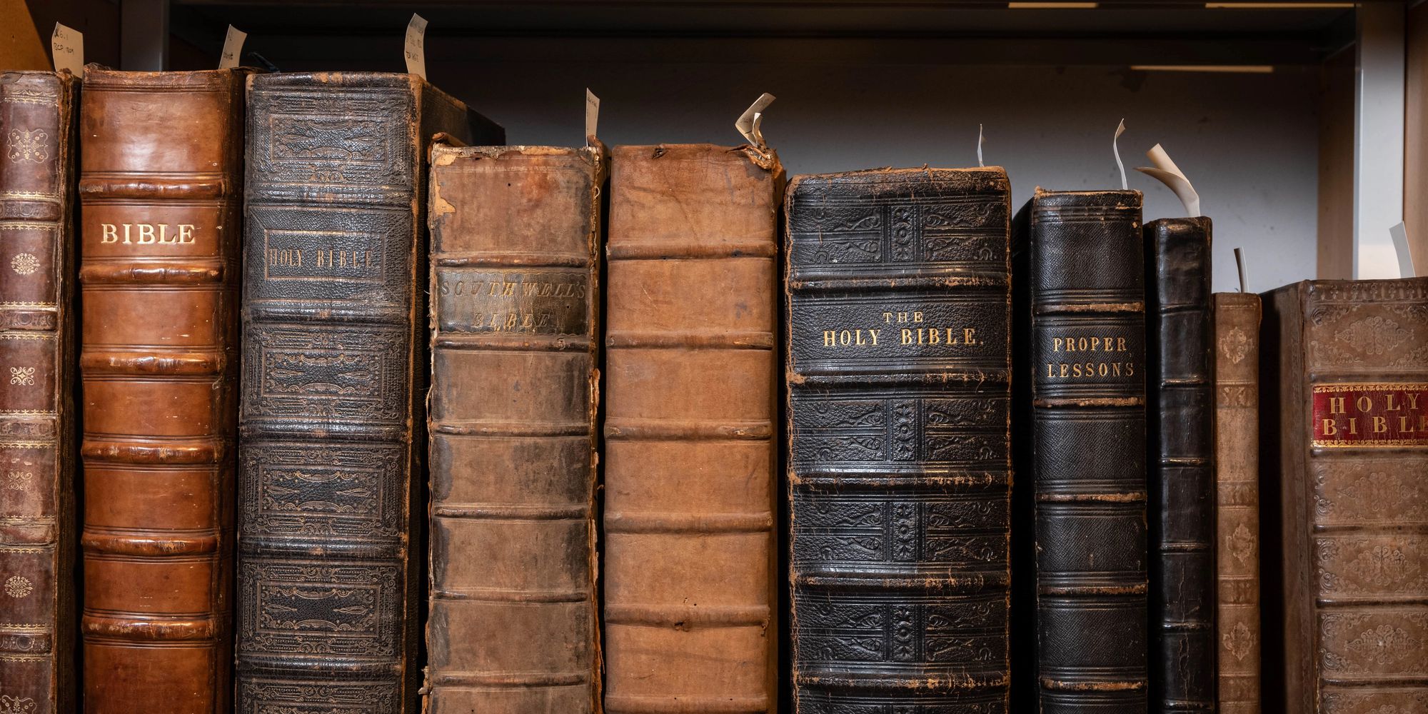 image-75506a536009d30c9f7a734ad557eede42581278-8074x5015-jpg