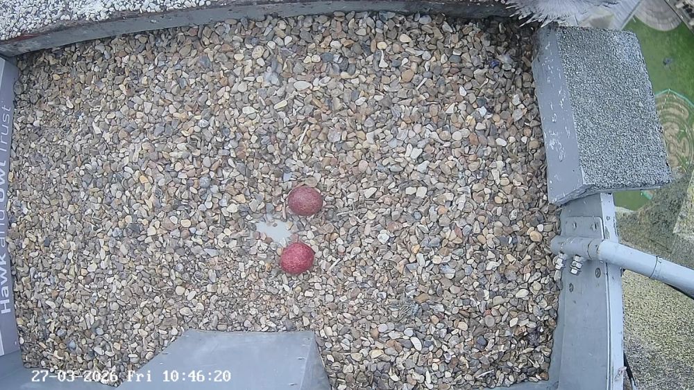 image-78a0733d8a6b82dbb32d8f33209bb30239d6c6b6-2560x1440-jpg