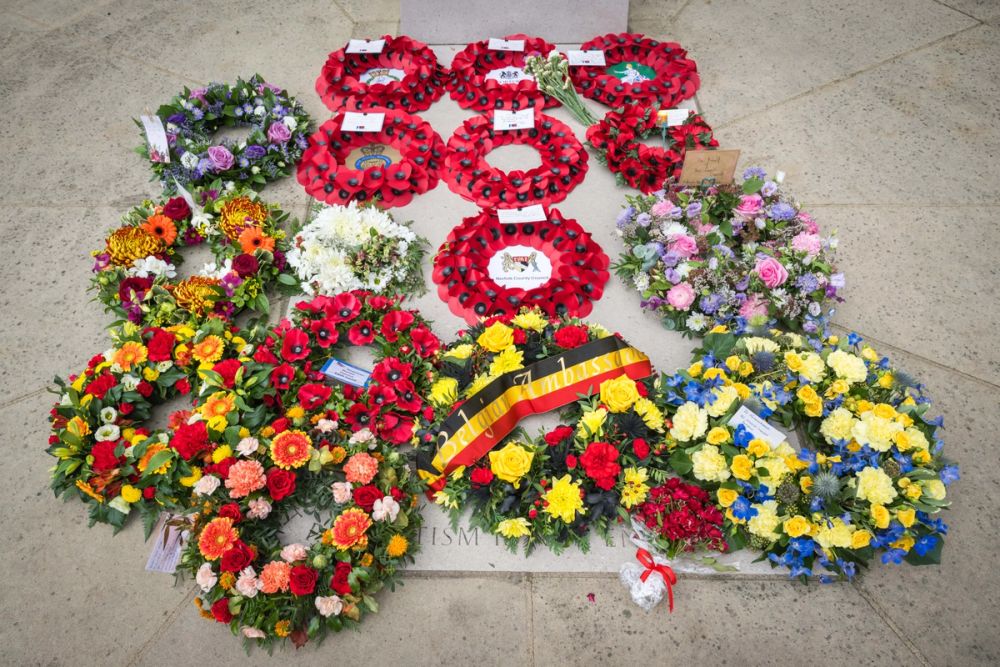 image-791b3cbdfe03c54bf2da7c108ee4602022e03494-7899x5266-jpg