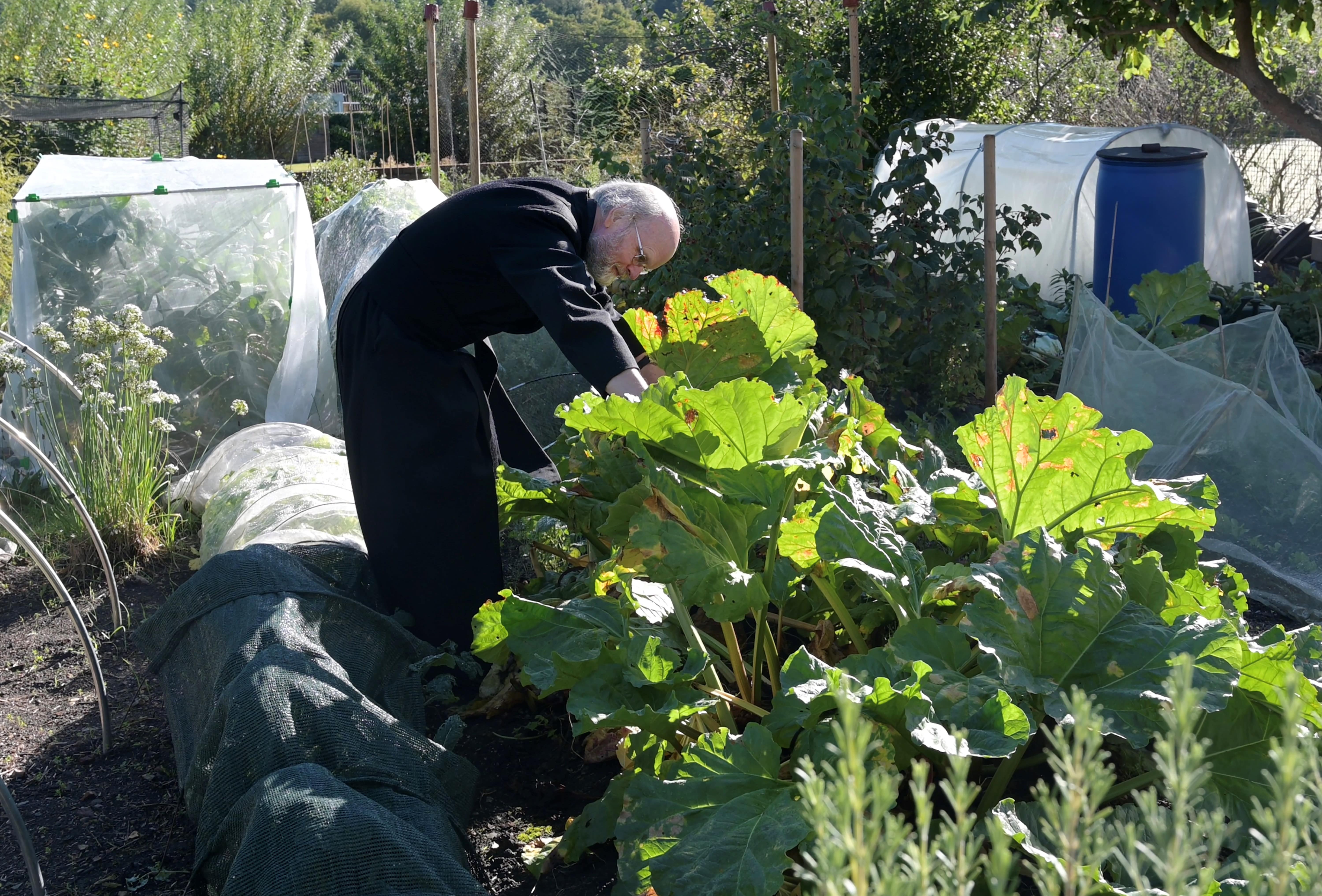 image-7cb981cb18eba91baf78d59d6caca520b4883293-6000x4068-jpg