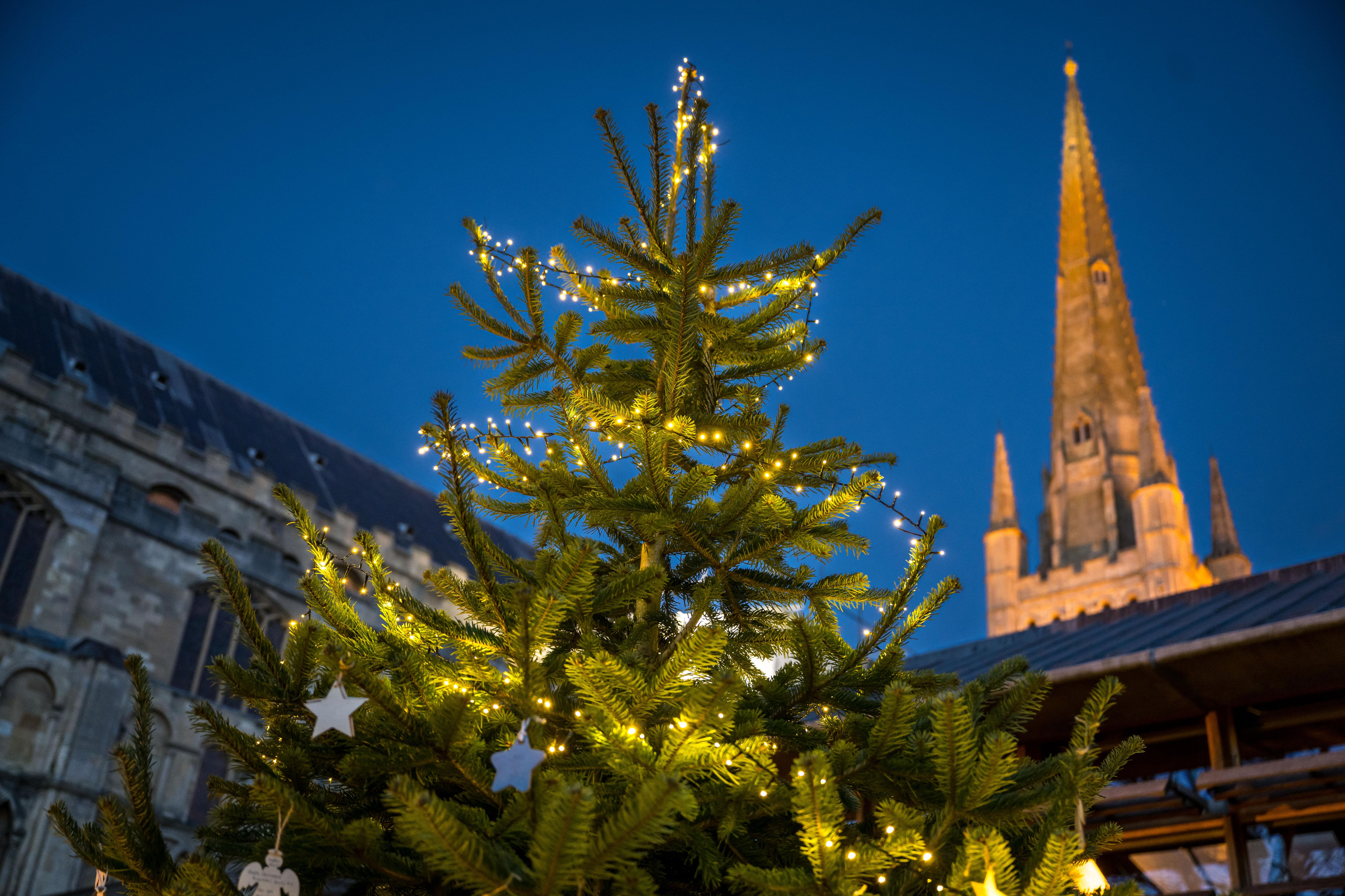 image-7e27af043458253b2dd303492ccea912bed6c075-8256x5504-jpg