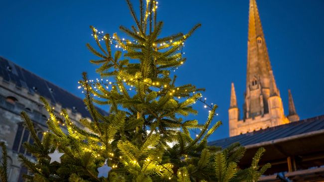 image-7e27af043458253b2dd303492ccea912bed6c075-8256x5504-jpg