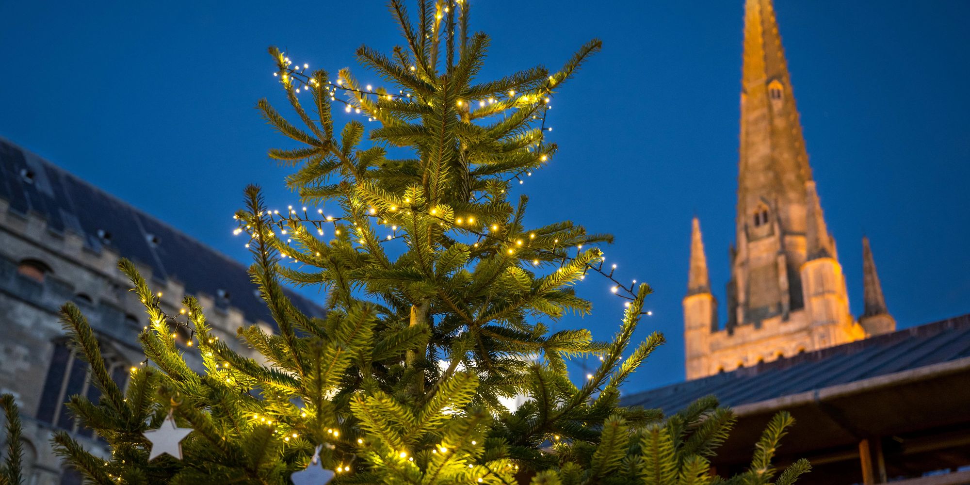 image-7e27af043458253b2dd303492ccea912bed6c075-8256x5504-jpg