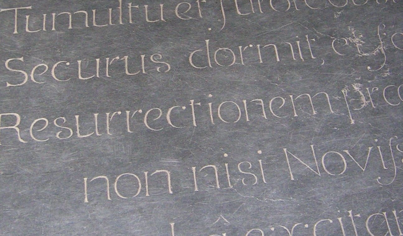 image-7e8e737ea0275b9fc261c58a4137ad2880bfb48b-1295x759-jpg