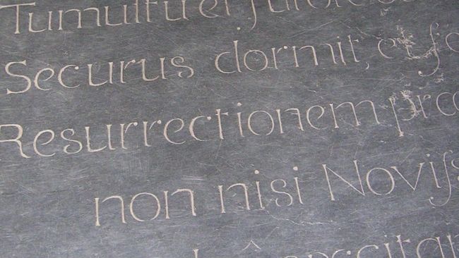 image-7e8e737ea0275b9fc261c58a4137ad2880bfb48b-1295x759-jpg