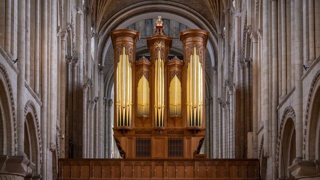 image-8190b99311945e7f386e12b8f3d967877b45b5d3-8256x5504-jpg