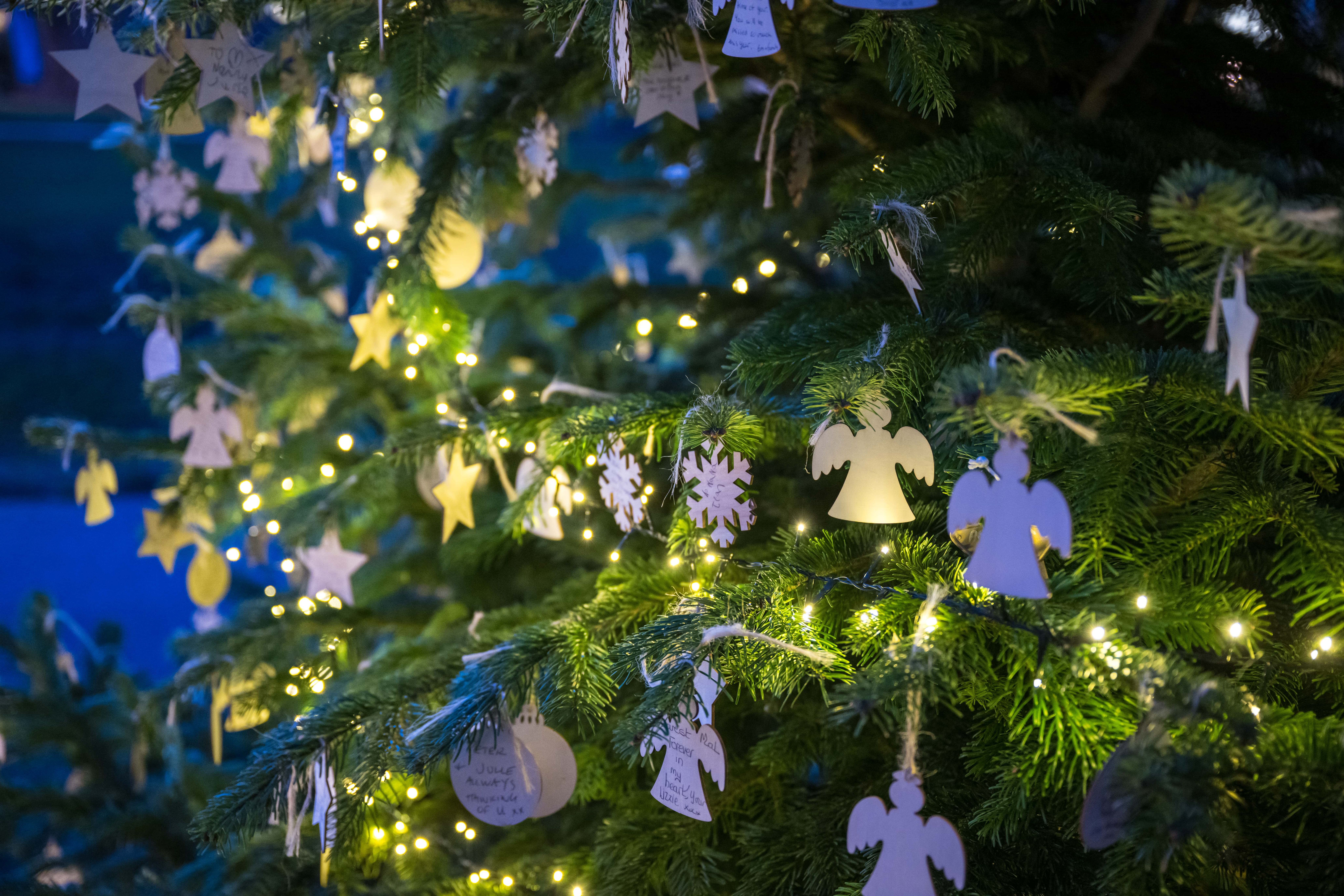 image-81c2586b4311d92480056f70790bfd7babd1810e-8256x5504-jpg