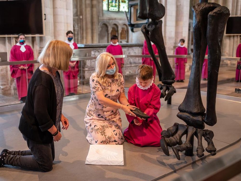 image-897af04eb68337260e4f8b9730ee99d95d71239b-903x680-jpg