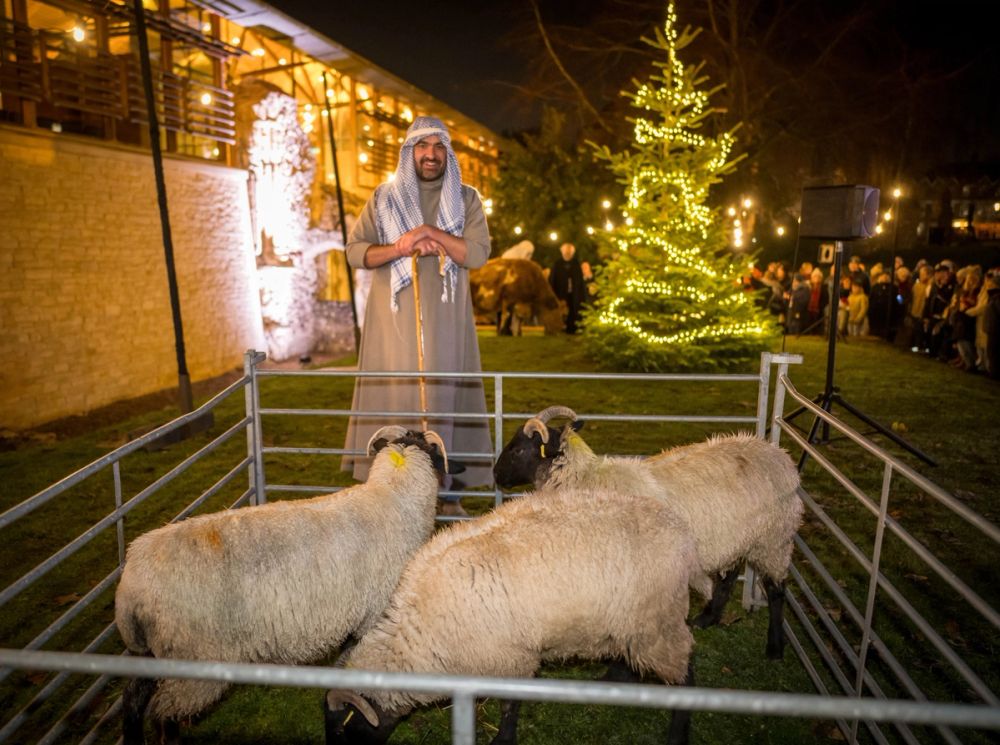 image-8eeb6d3cf170b8813ed65095c75afcaa124dc7a7-7105x5291-jpg