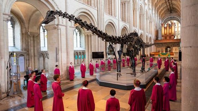 image-9bb2c988c5f709aeeb7febcbfa3530563e65c0c4-586x390-jpg