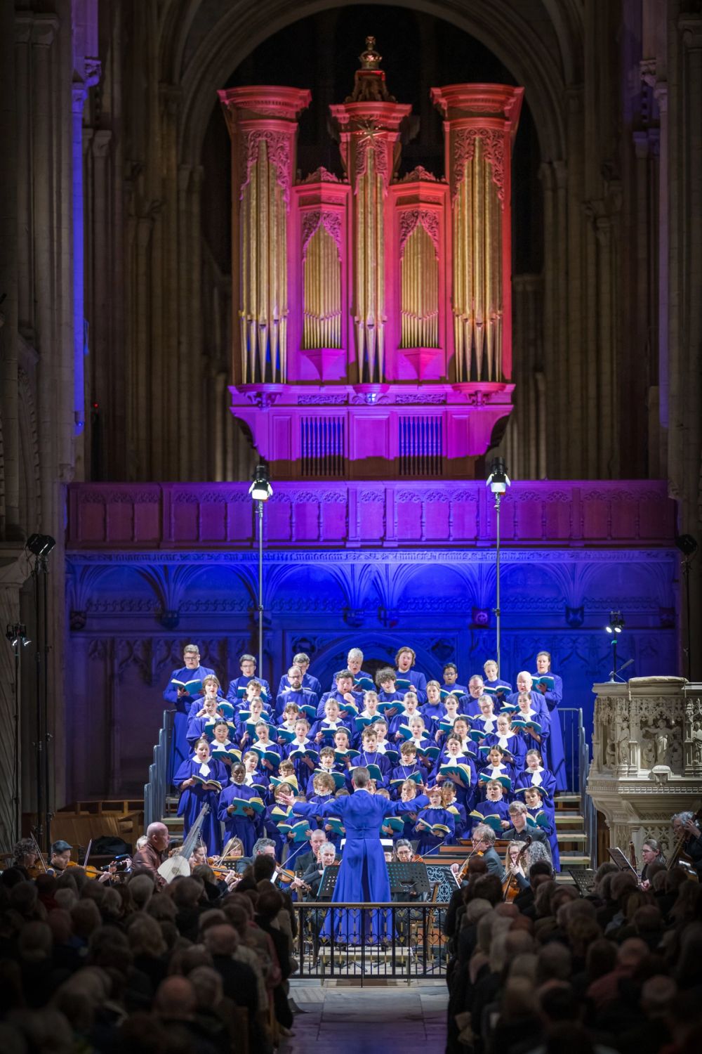 image-a1b49c51c7ce86fe8c80778b83f86402bb2e9d61-5435x8152-jpg