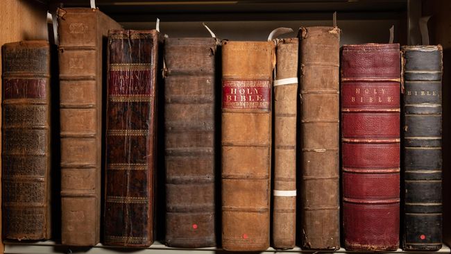 image-a5ac12236b5ba2199ff01129e5358f17f460a6b6-8173x5063-jpg