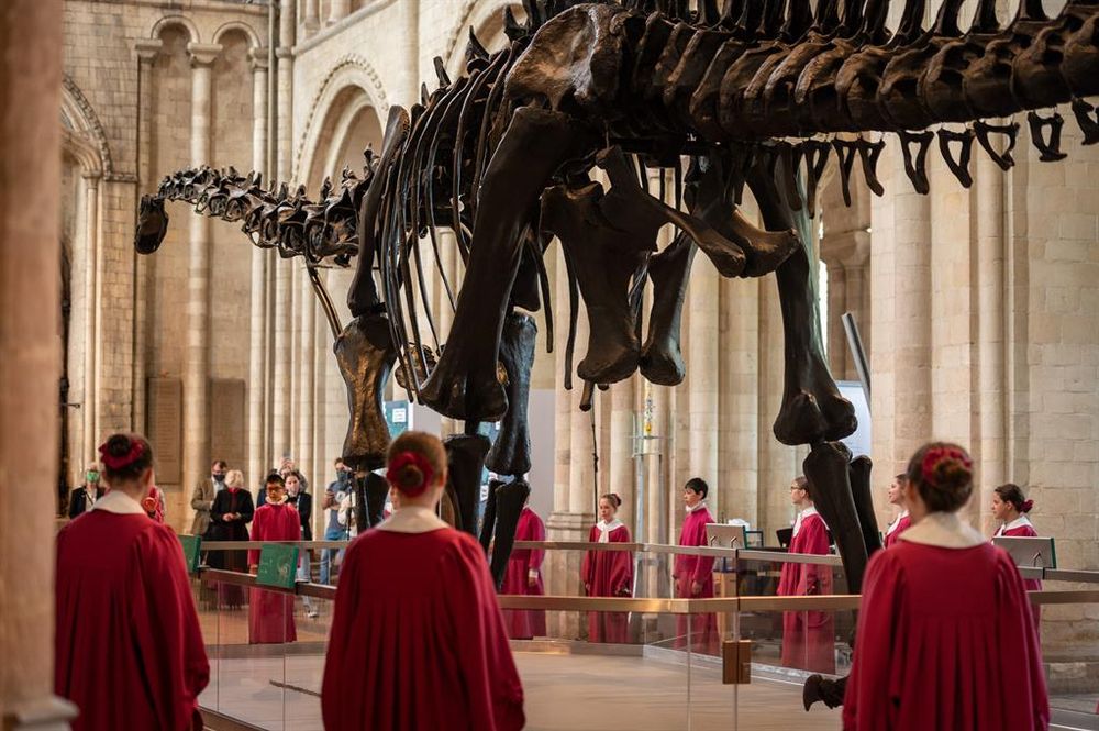 image-a80bd8399ffb2cdd7423771e34706a5dc03b3080-1022x680-jpg