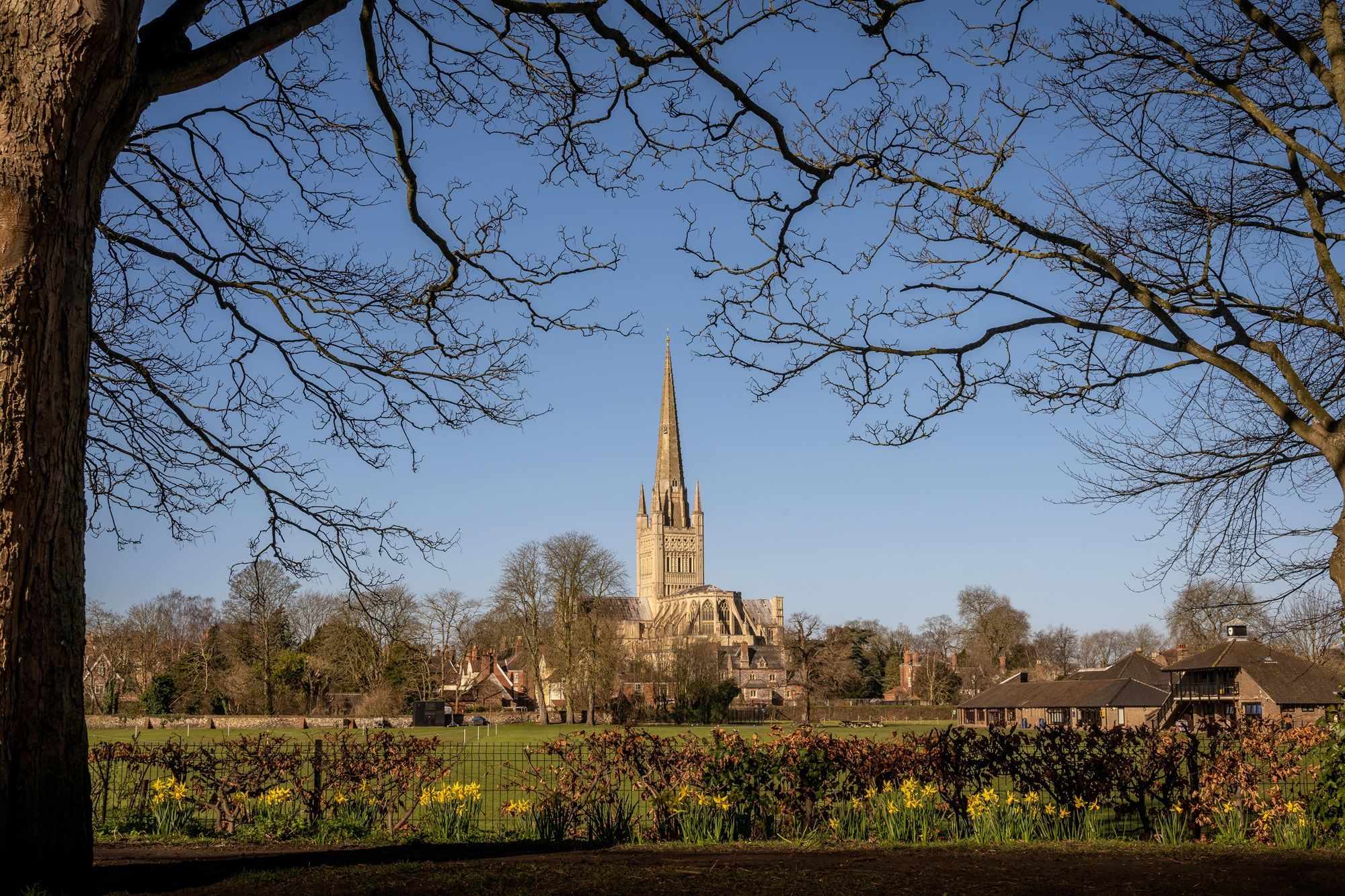 image-aeba5d37f8643baa6a84a0b603bb38f8f541e791-2000x1333-jpg