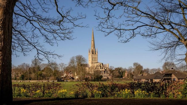 image-aeba5d37f8643baa6a84a0b603bb38f8f541e791-2000x1333-jpg