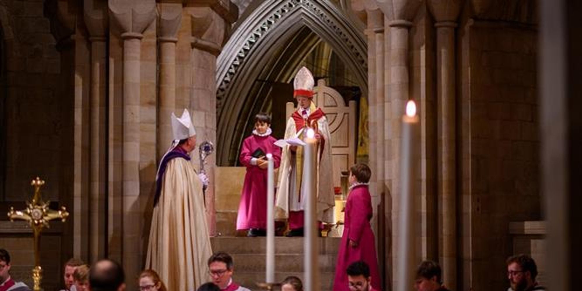 image-b1ebf2745e746603605c5cdf2e1237ed6a24d991-667x390-jpg