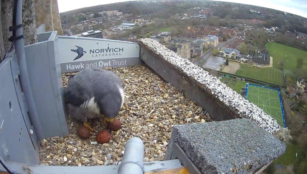 image-b92d2320b79e2f87d052f4f88b4fdd601fec1a73-2688x1520-jpg