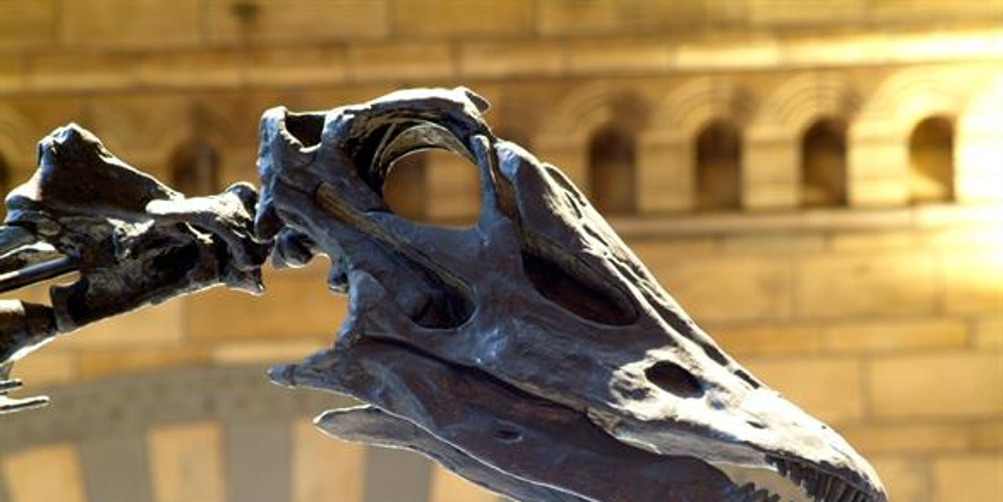 image-b9e9257d04c65e9fd4a7e29c404d7fc47fa6df14-585x390-jpg