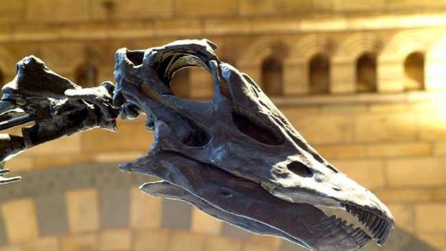 image-b9e9257d04c65e9fd4a7e29c404d7fc47fa6df14-585x390-jpg