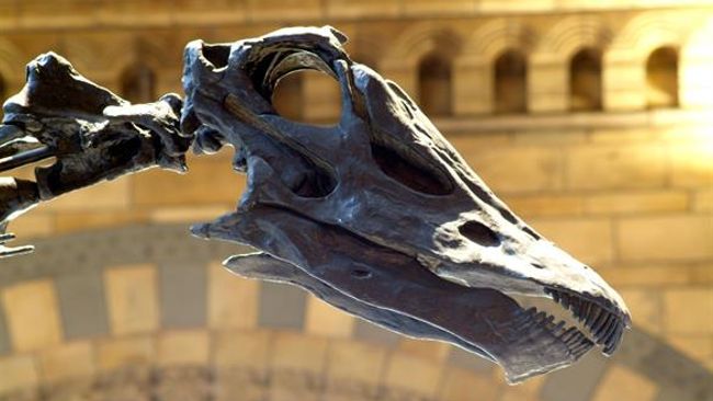 image-b9e9257d04c65e9fd4a7e29c404d7fc47fa6df14-585x390-jpg