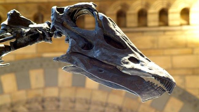 image-b9e9257d04c65e9fd4a7e29c404d7fc47fa6df14-585x390-jpg