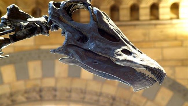 image-b9e9257d04c65e9fd4a7e29c404d7fc47fa6df14-585x390-jpg